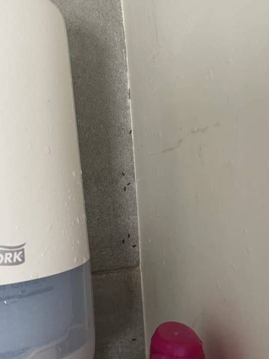 Zimmer Virginia Family Resort