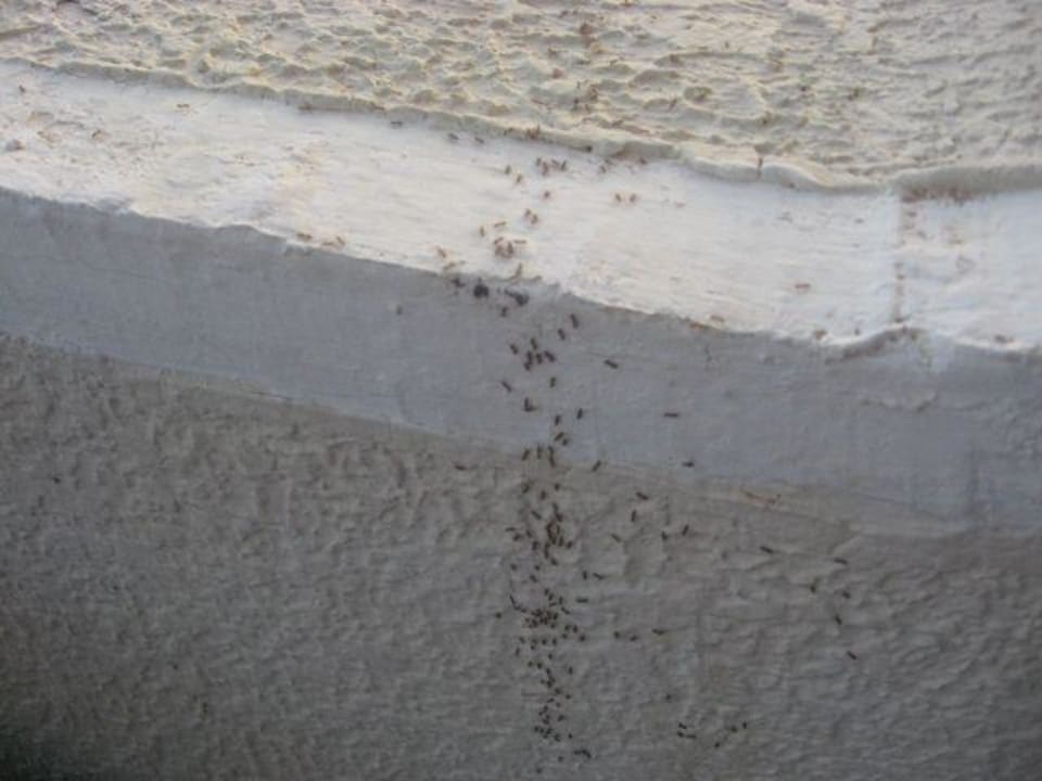 Balkon w pokoju 340 Palmyra Aqua Park Kantaoui