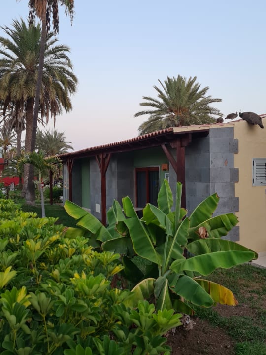 Gartenanlage HL Miraflor Suites Hotel