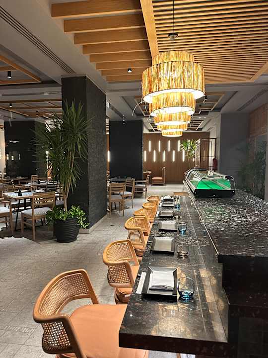 Gastro JAZ Elite Asteria