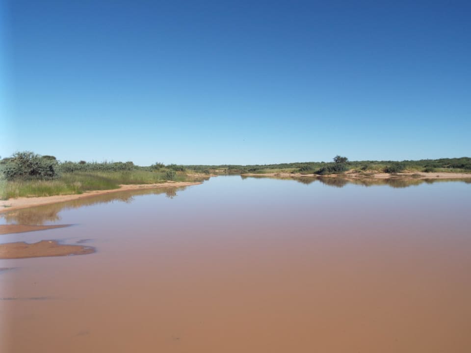Abendsafari: seltene Überflutung in der Regenzeit Kalahari Anib Lodge