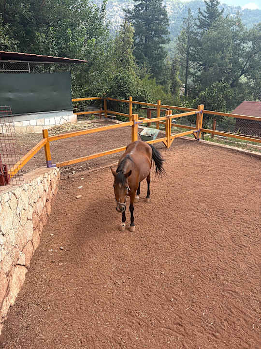 Gartenanlage Trinitys Ulupinar