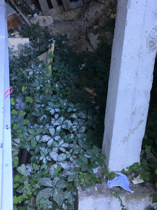 Ausblick Hotel Pliska