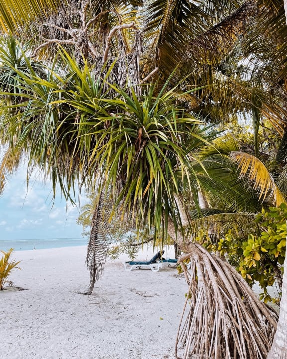 Strand Meeru Maldives Resort Island