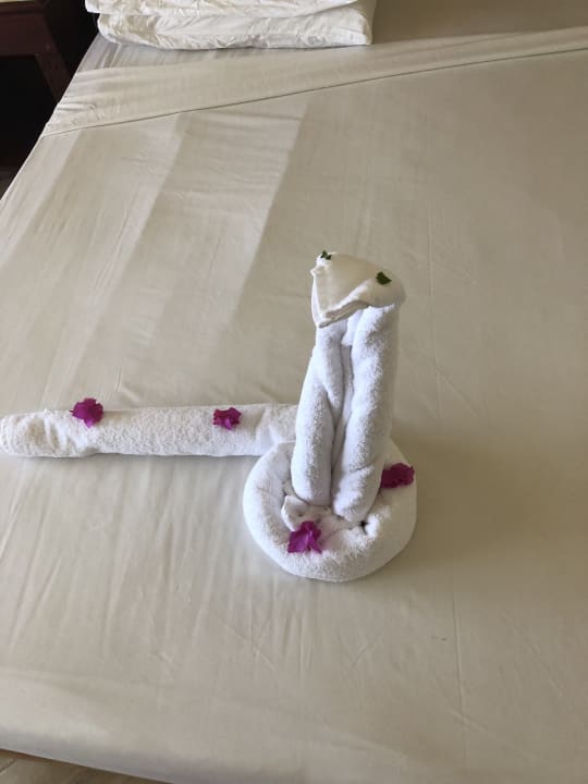 Zimmer Malikia Resort Abu Dabbab