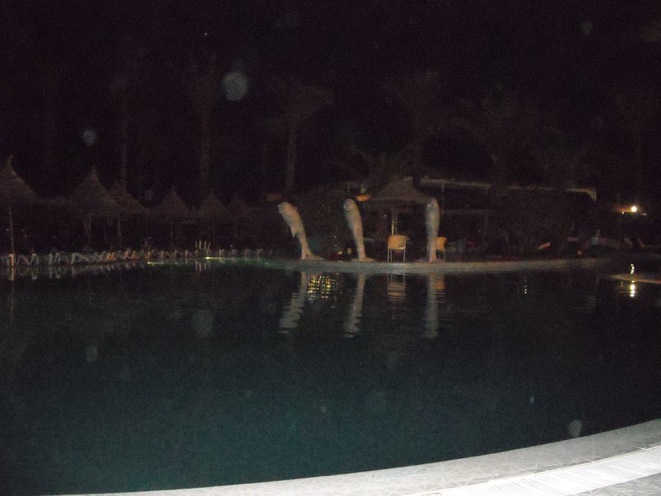 Basen w nocy Riadh Palms Resort & Spa