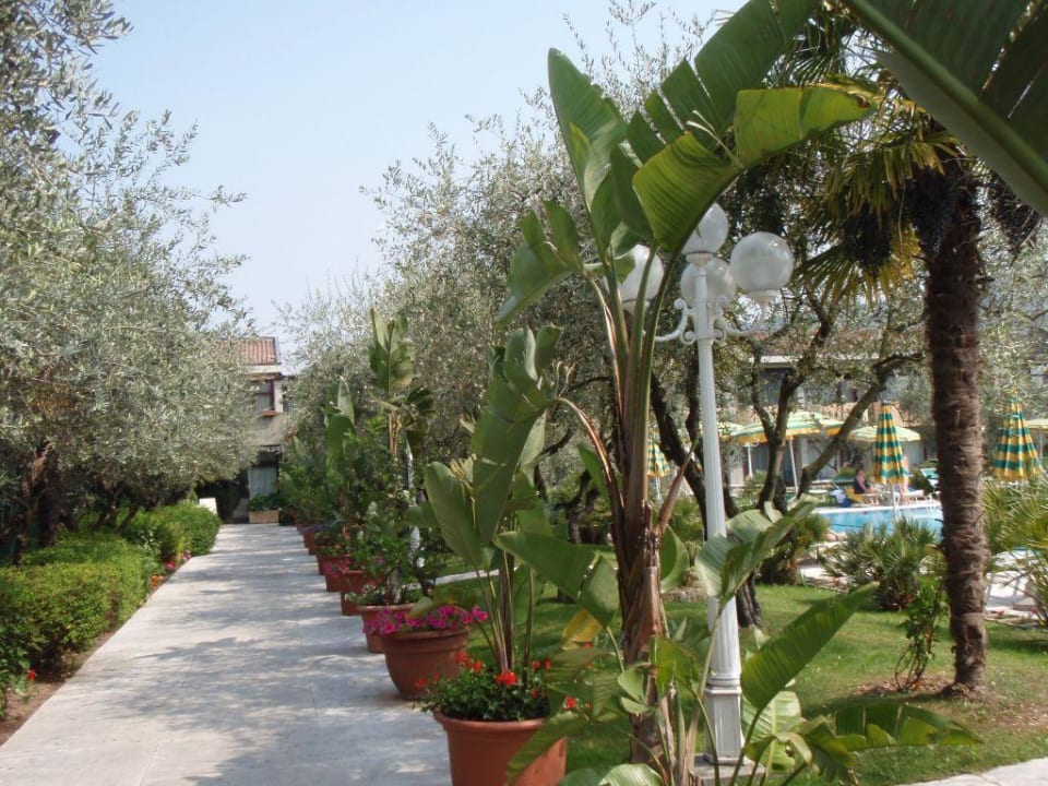 Park Hotel Oasi Park Hotel Oasi