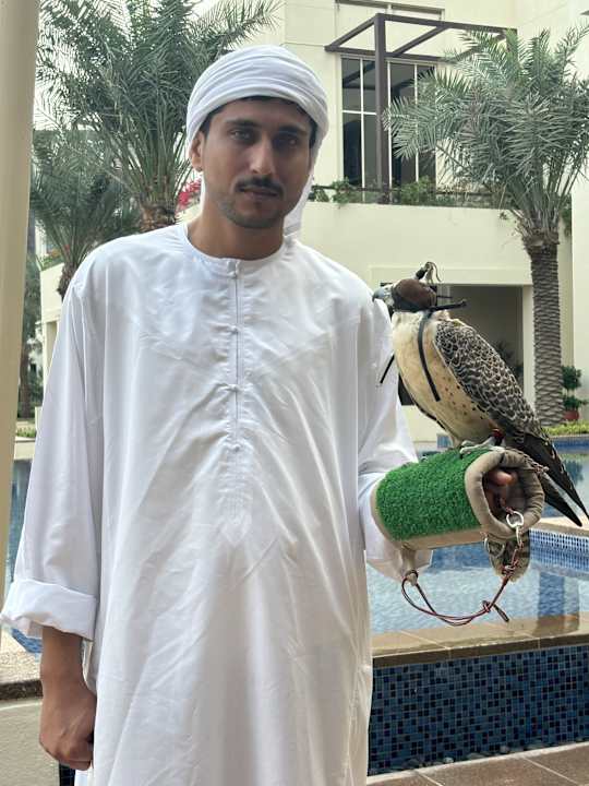 Gastro Park Hyatt Abu Dhabi Hotel and Villas