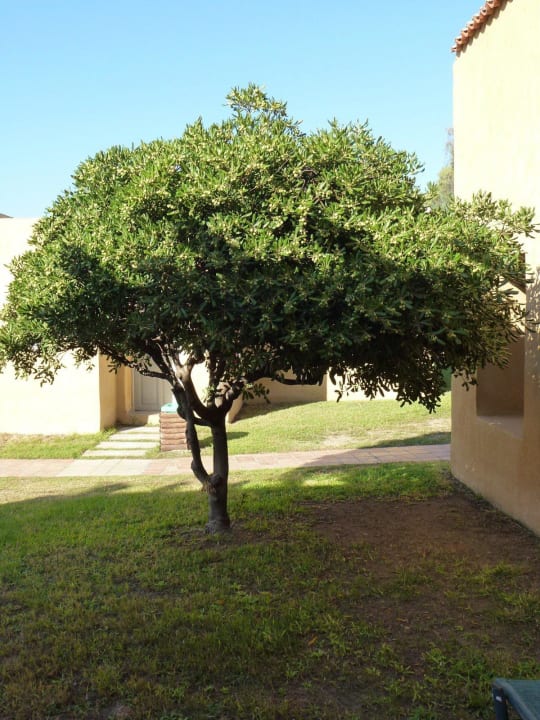 Blick aus dem Zimmer Hotel Miramare Park