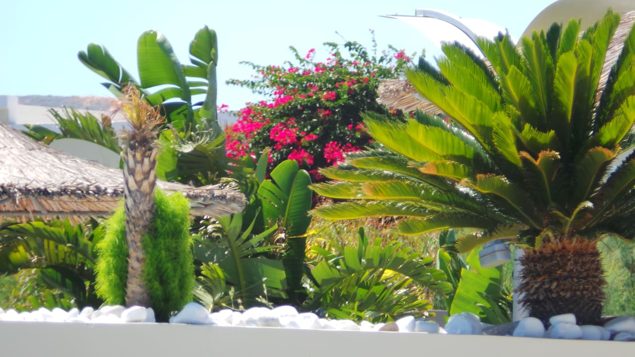 Pool Akti Palace Resort & Spa