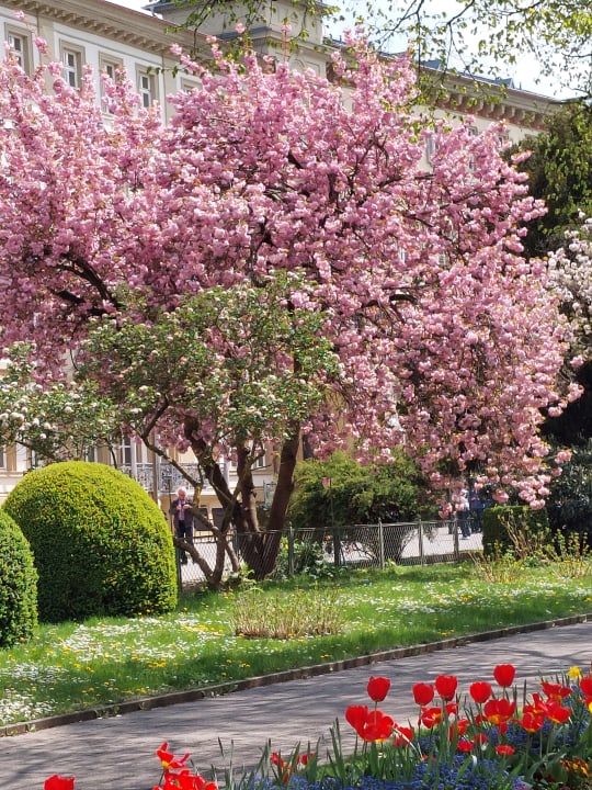 Garten Hotel Frankenland