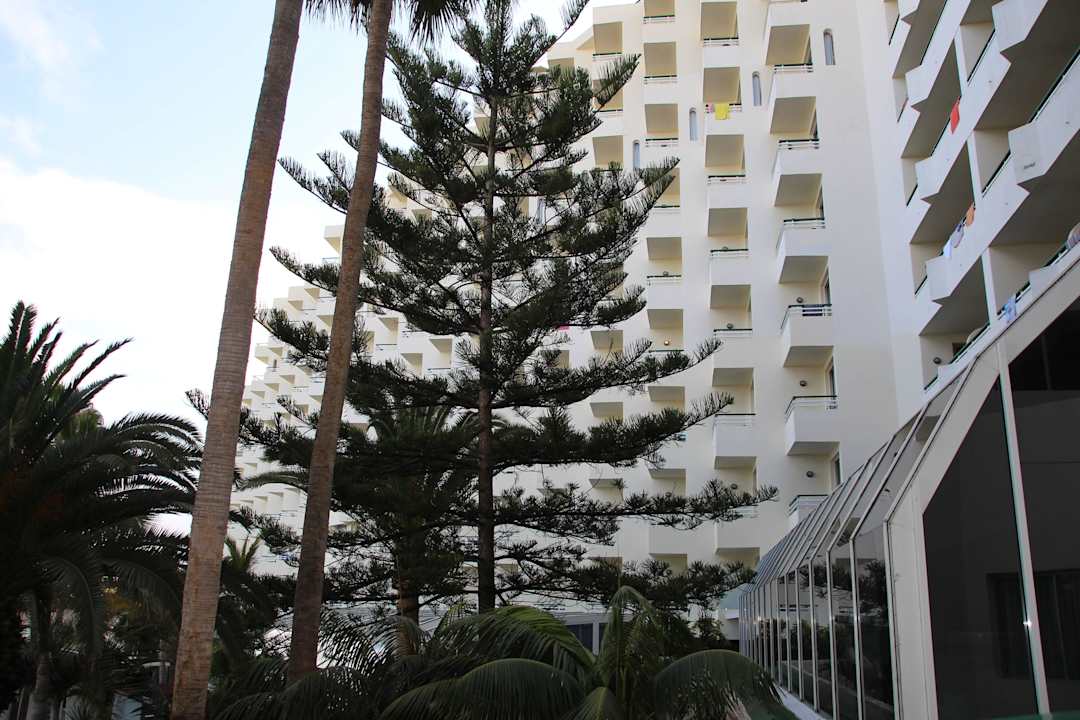 Hôtel H10 Las Palmeras - La Vue 2015 H10 Las Palmeras