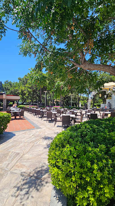 Gartenanlage Xanadu Resort Hotel