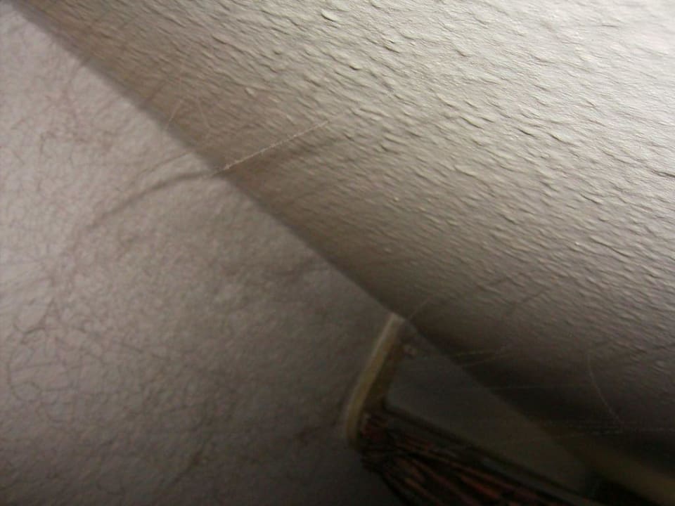 Spinnweben an der Decke acora Düsseldorf Living the City