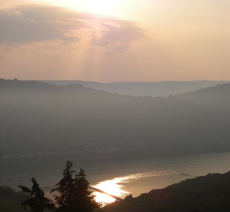 Ausblick Ferienwohnung Schau Rhein