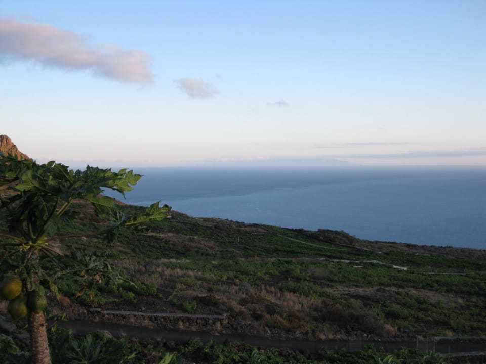 Blick auf den Weinberg Casa Los Quemados