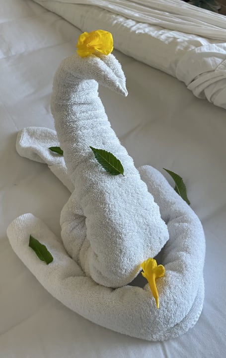 Zimmer Coral Sun Beach
