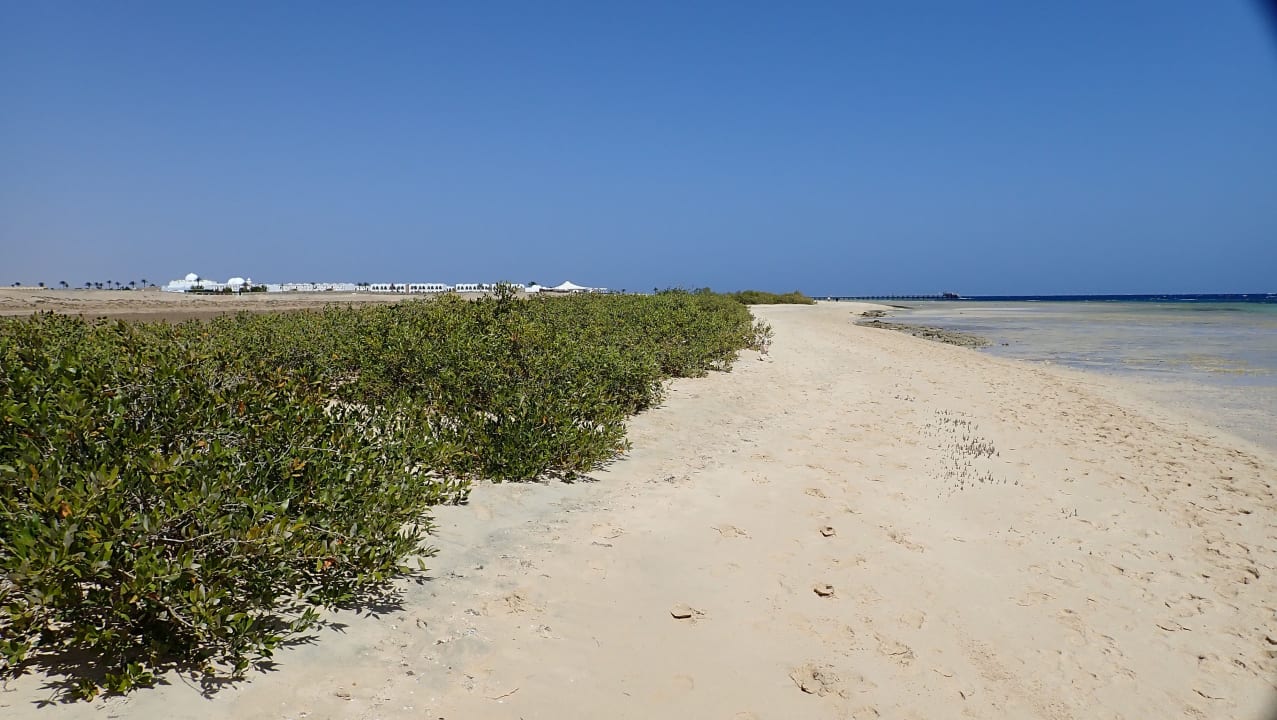 Mangroven am langen Strand, re. Seite Hotel Gorgonia Beach Resort