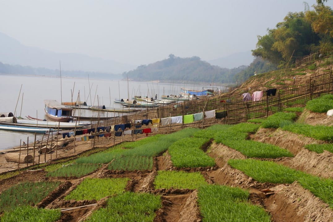 Gärten am Mekongufer Hotel Mekong Riverview