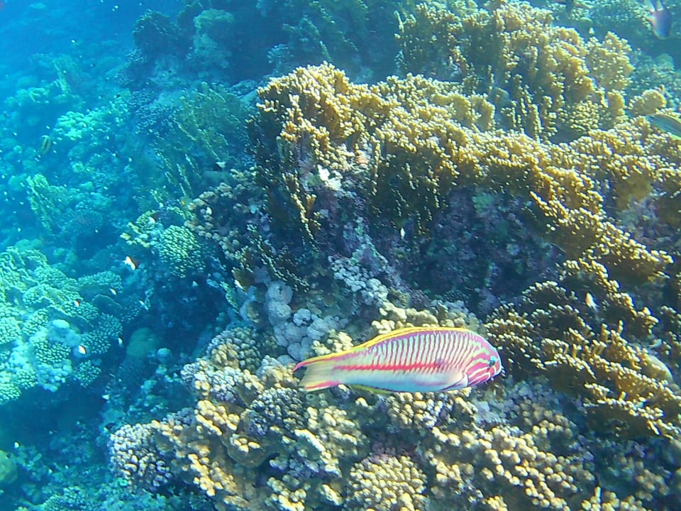 Strand Casa Mare Resort