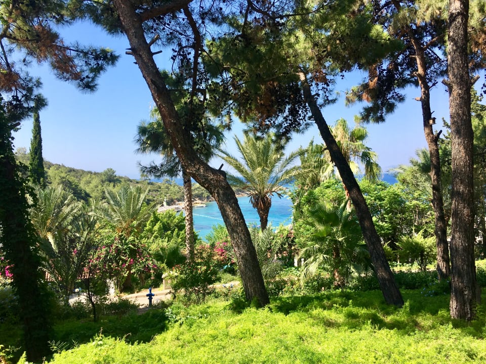Garten Hapimag Sea Garden Resort