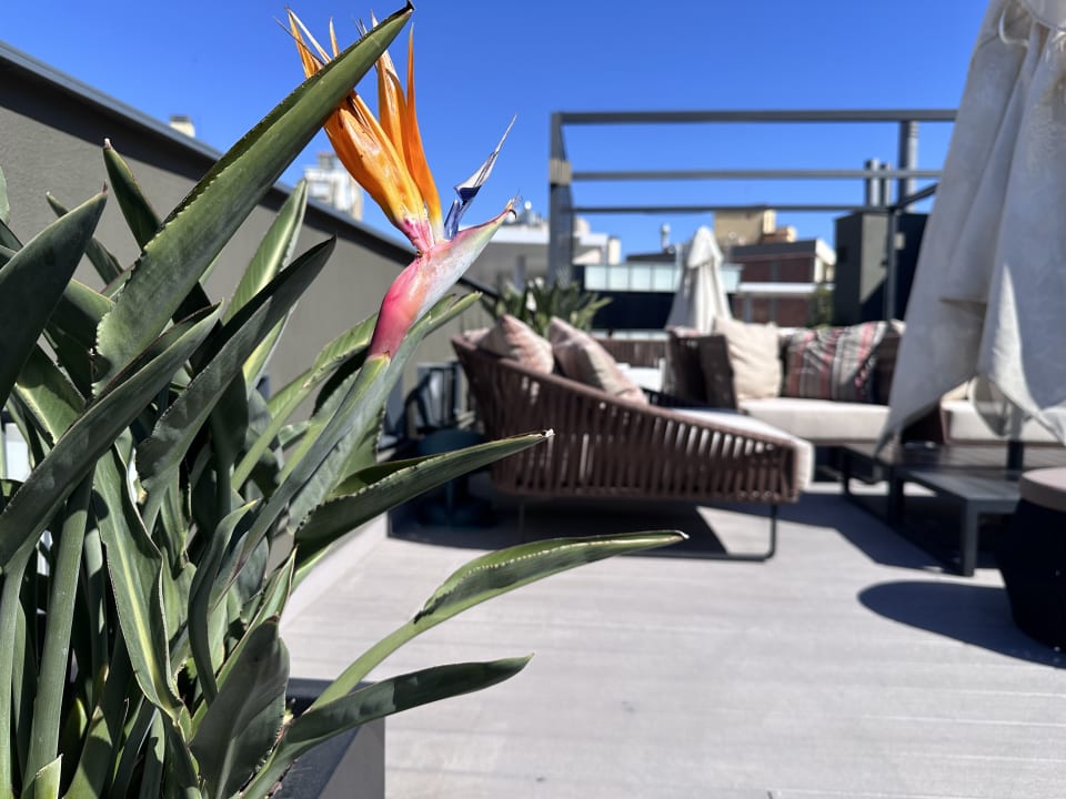 Sport & Freizeit Hotel Jazz
