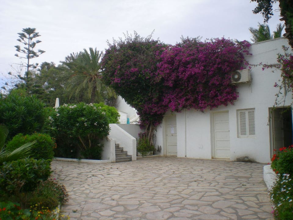 Hier gehts zum Pool The Orangers Beach Resort and Bungalows