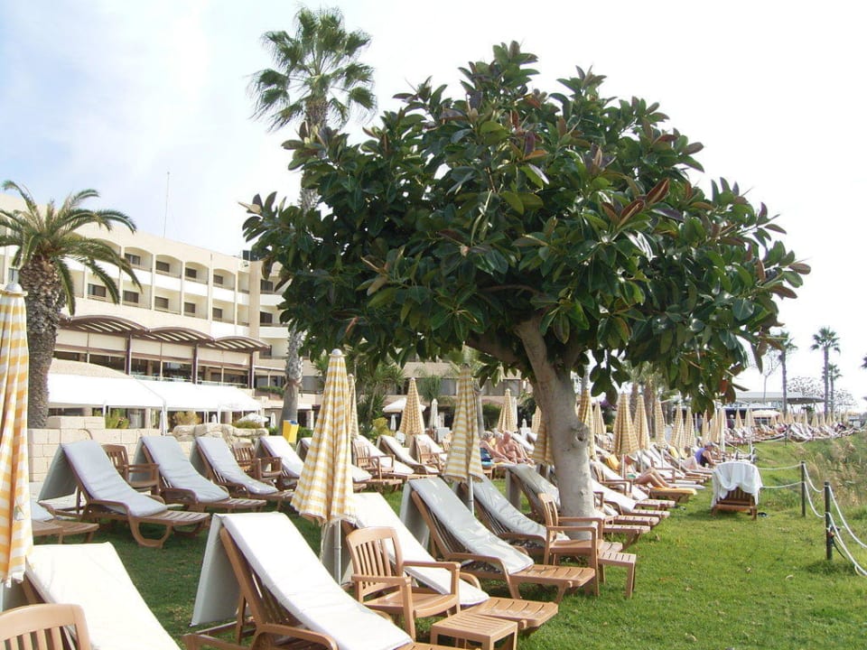 Liegewiese am Strand Alexander The Great Beach Hotel