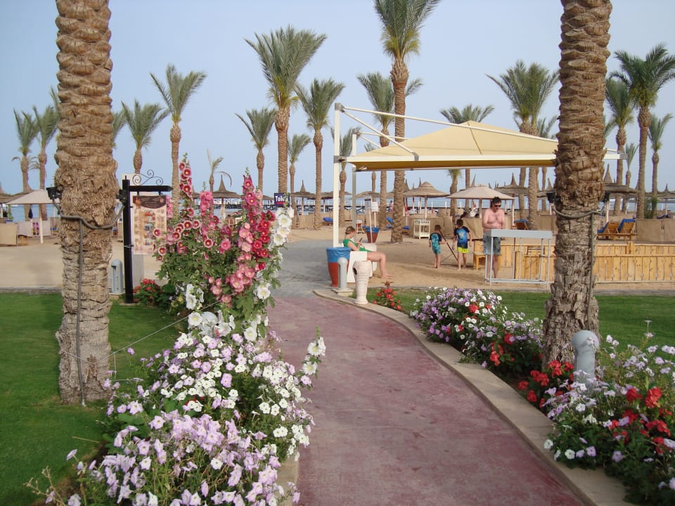 Gartenanlage Beach Albatros Resort