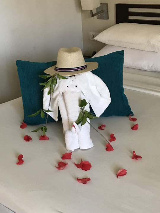 Zimmer Club Hotel Dolphin