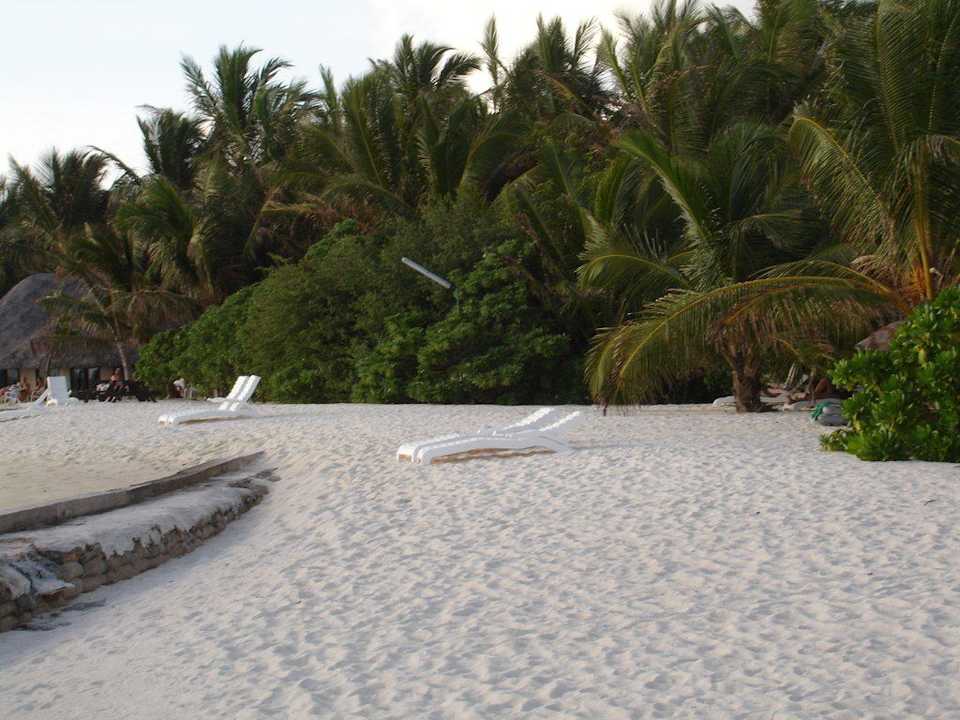 Strand Summer Island Maldives