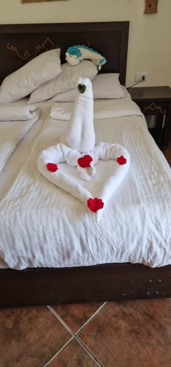 Zimmer Three Corners Sea Beach Resort