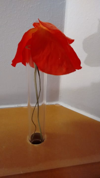 Das sogenannte Dekor, Pressplattenchic Hotel Orange Wings Wiener Neustadt