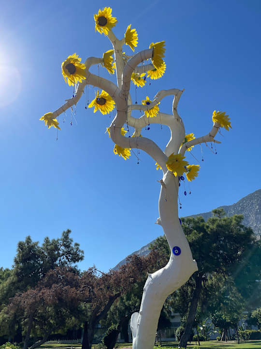 Gartenanlage TUI MAGIC LIFE Beldibi +16