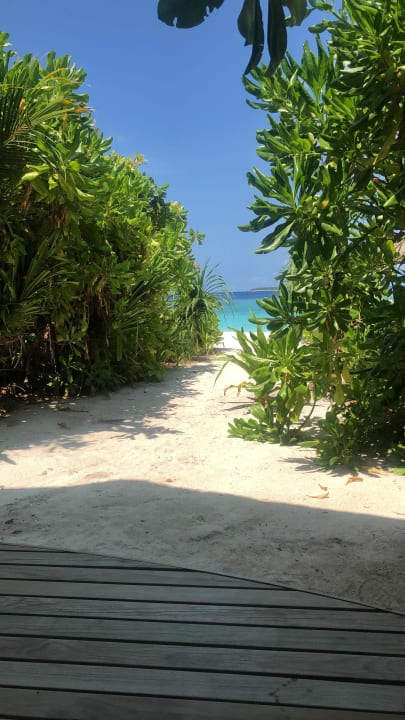 Ausblick Reethi Faru Resort