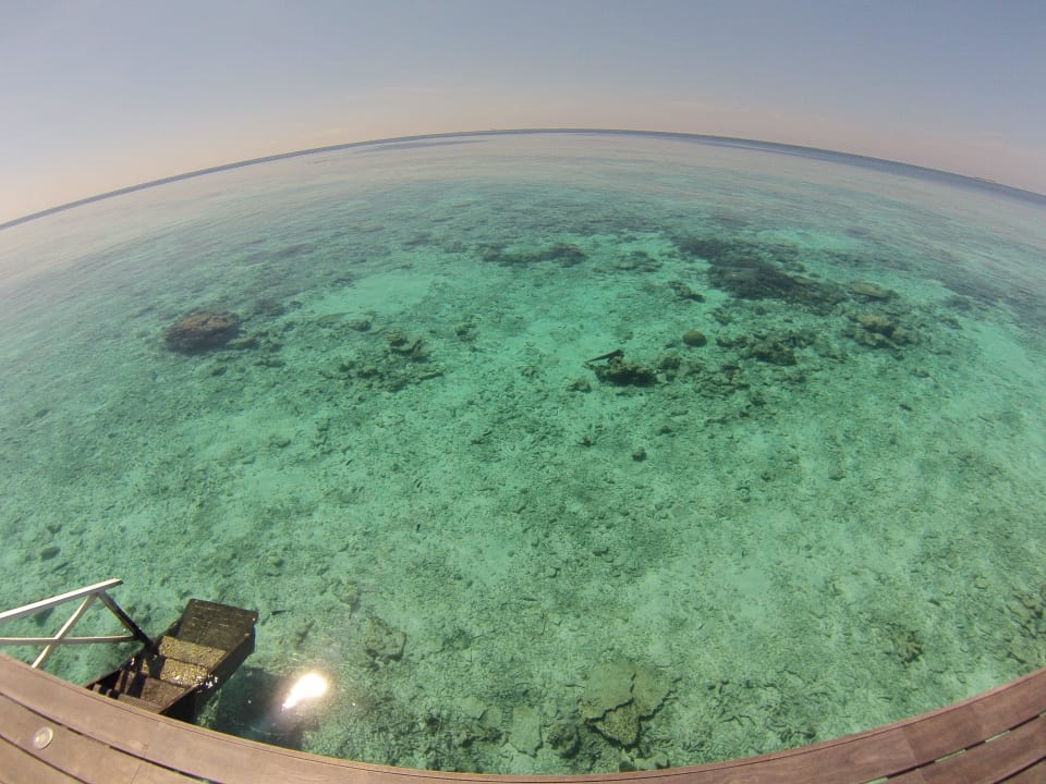 Asblick von WV Terrasse Diamonds Thudufushi