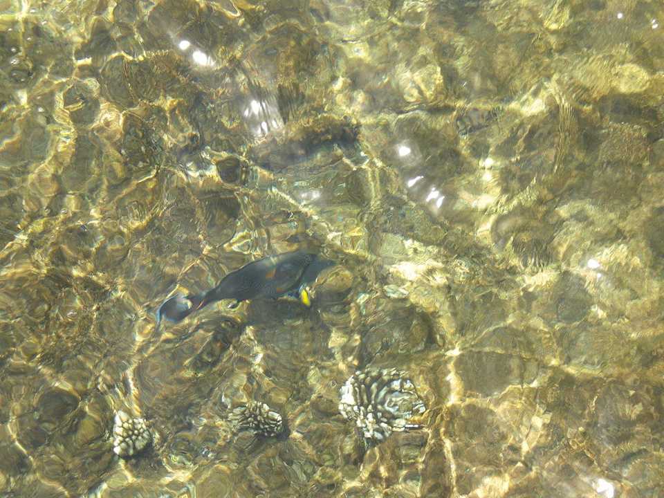 Riff The Grand Hotel Sharm El Sheikh