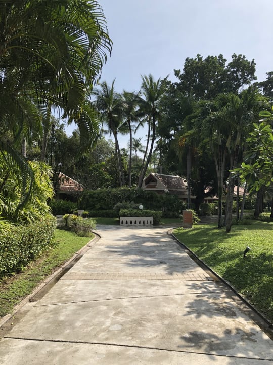 Gartenanlage Santiburi Koh Samui