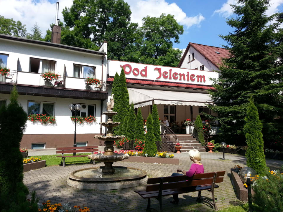 Gartenanlage mit Blick zur Terrasse Hotel Pod Jeleniem