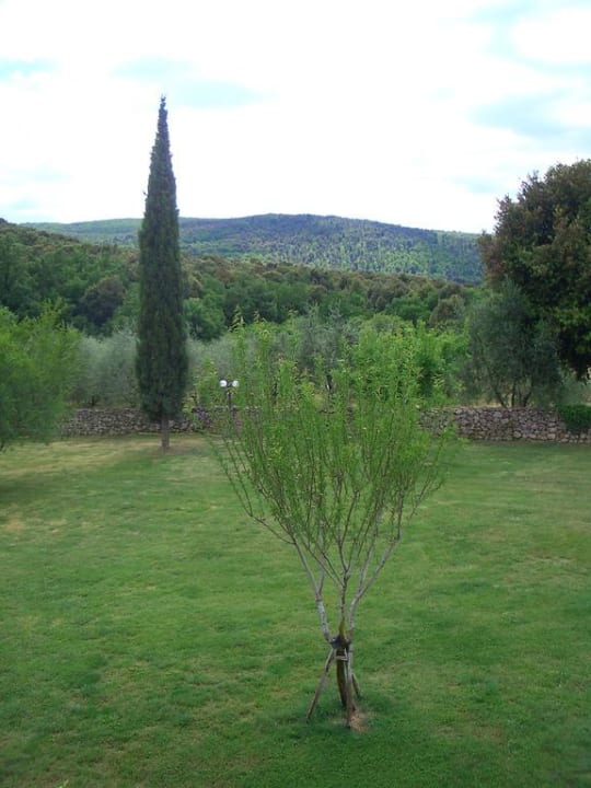 Blick aus dem Fenster Hotel Borgo Gallinaio