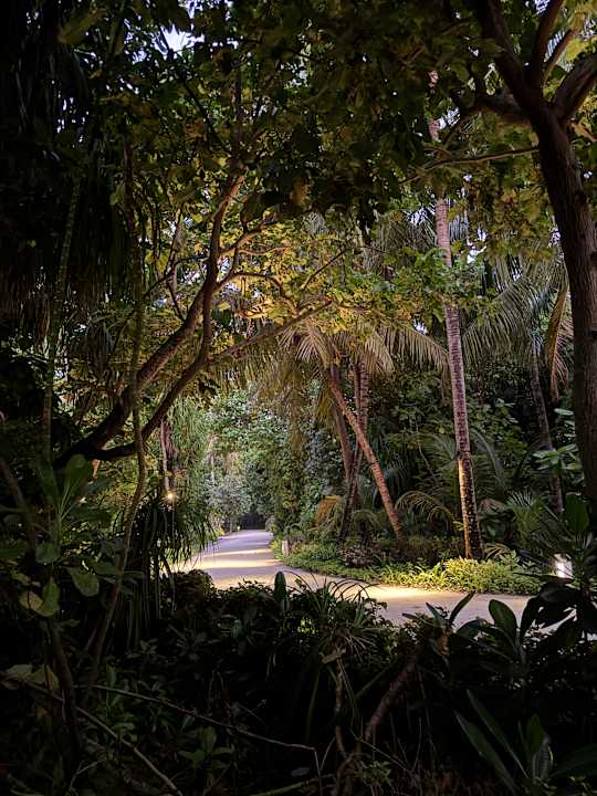 Gartenanlage Pullman Maldives Maamutaa - All-Inclusive Resort - 50% off Domestic Transfers