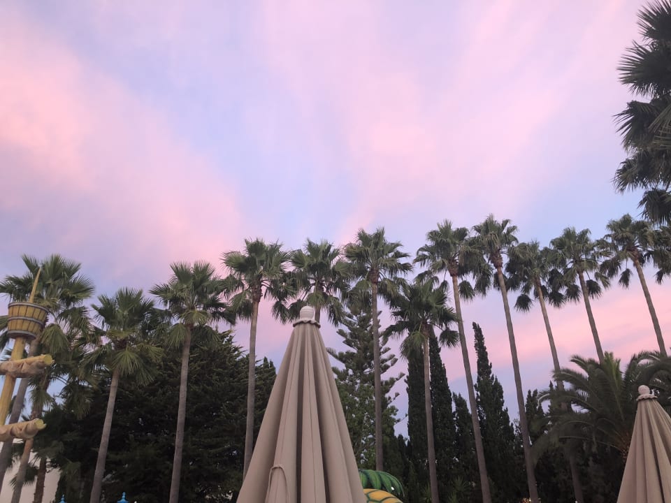 Gartenanlage Hipotels Mediterraneo Club