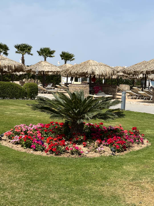 Gartenanlage Jaz Makadina