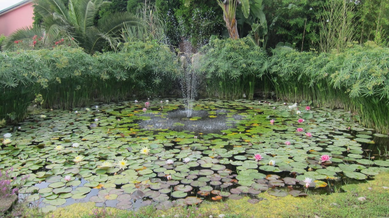 Teich Hotel Popilia Country Resort