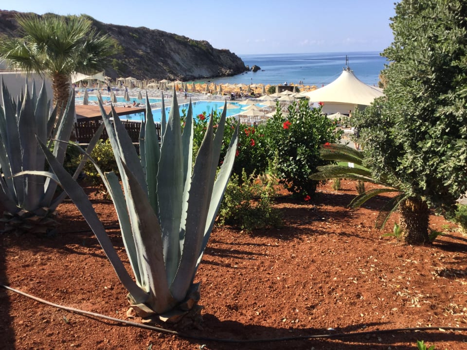 Gartenanlage Atlantica Mikri Poli Crete