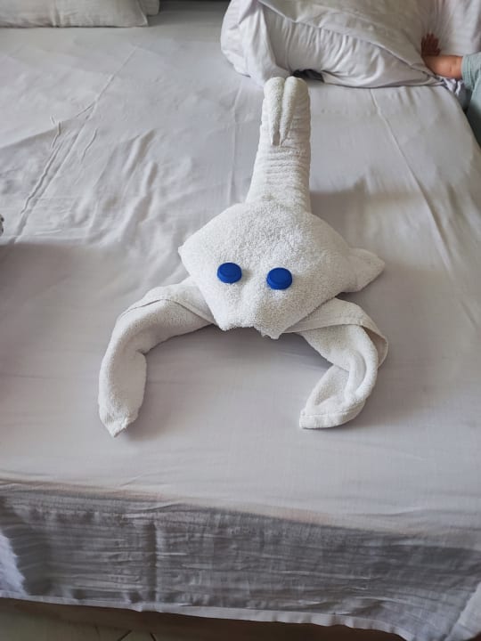 Zimmer Titanic Royal
