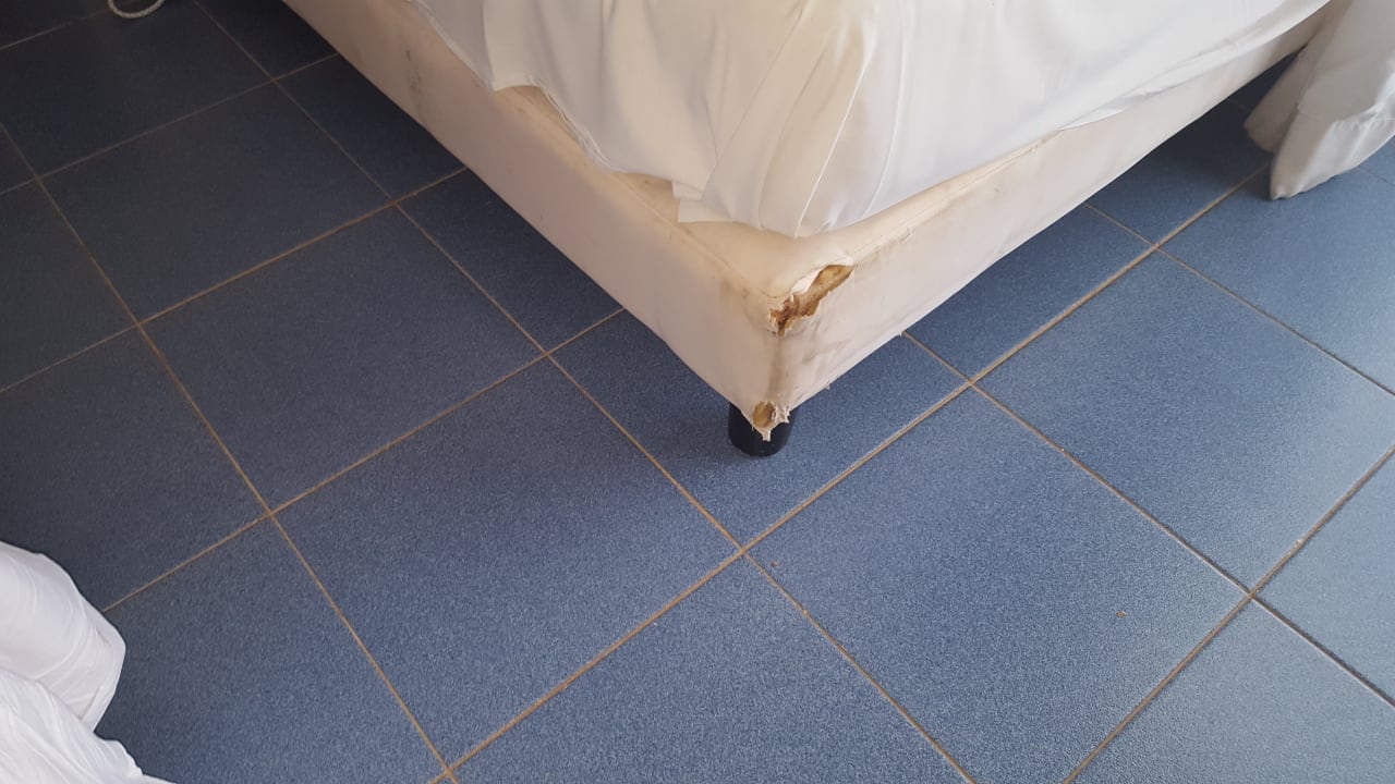 Zimmer Iberostar Origin Taínos