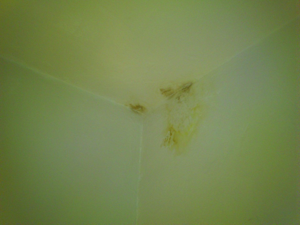 Bad... Altstadt Apartment Enteresan