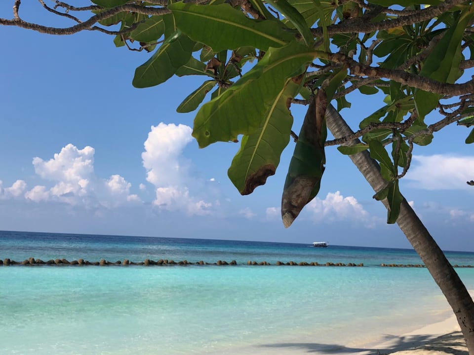 Strand Kuredu Island Resort & Spa