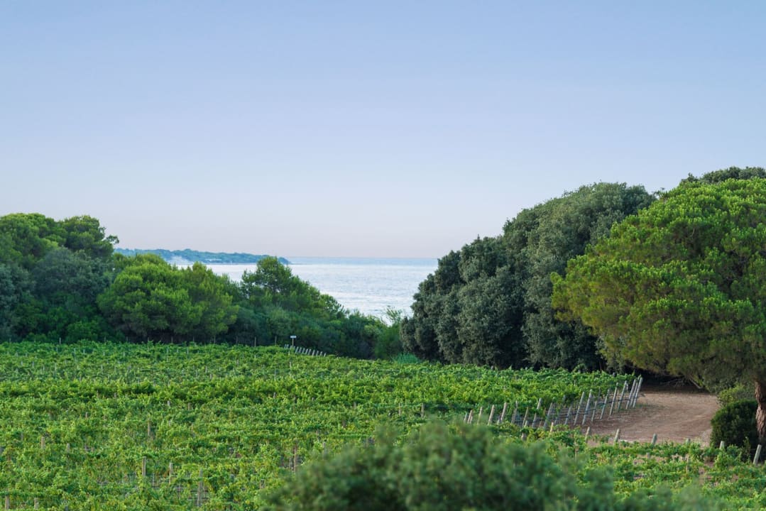 Gartenanlage Masseria Mongiò dell'Elefante